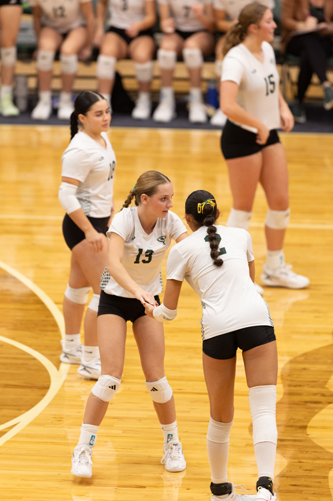 %_tempFileName1M6A0851%