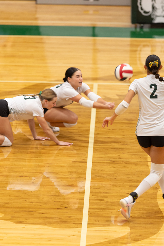 %_tempFileName1M6A0923%