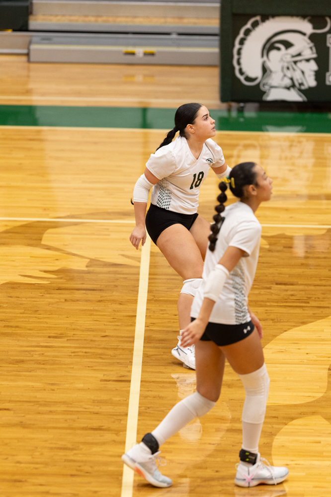 %_tempFileName1M6A0931%