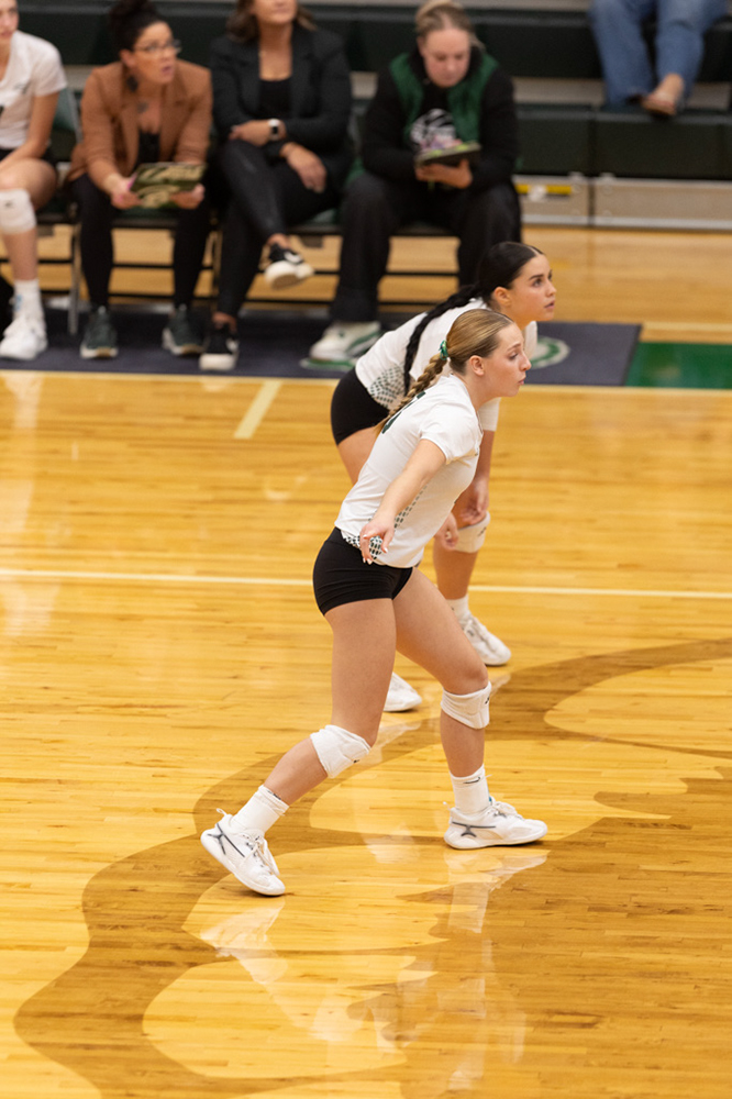 %_tempFileName1M6A0938%