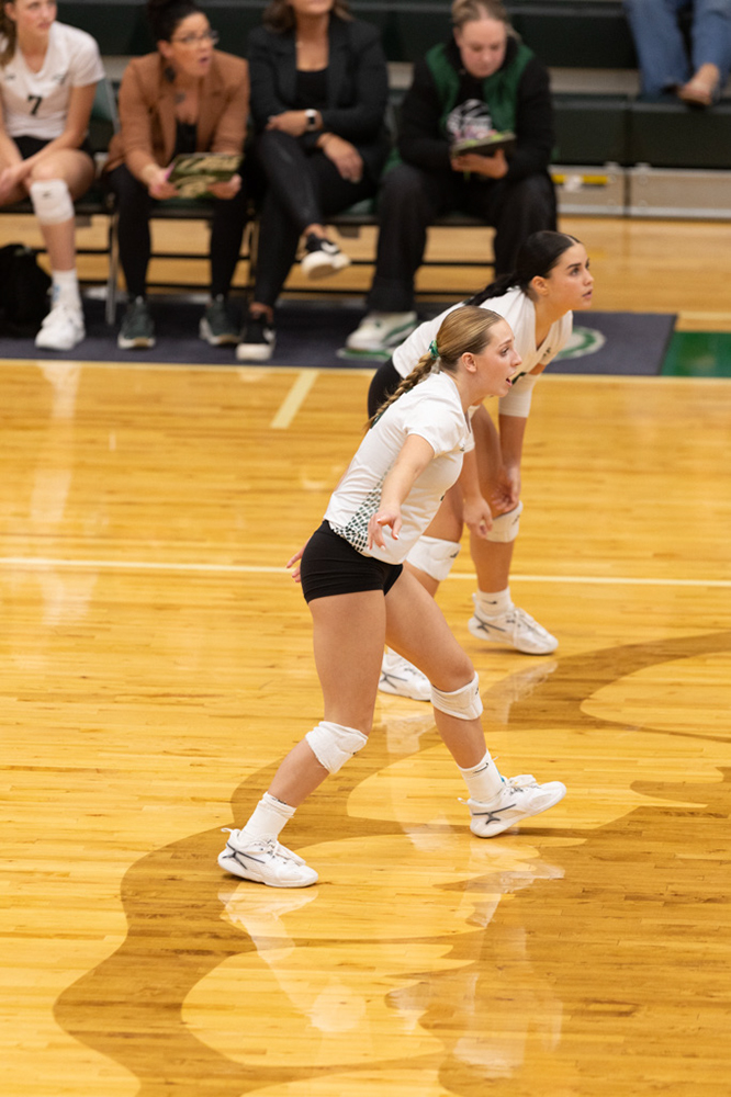 %_tempFileName1M6A0939%