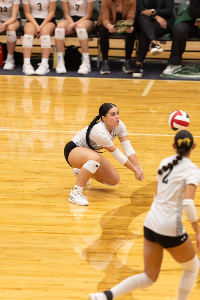 %_tempFileName1M6A0941%