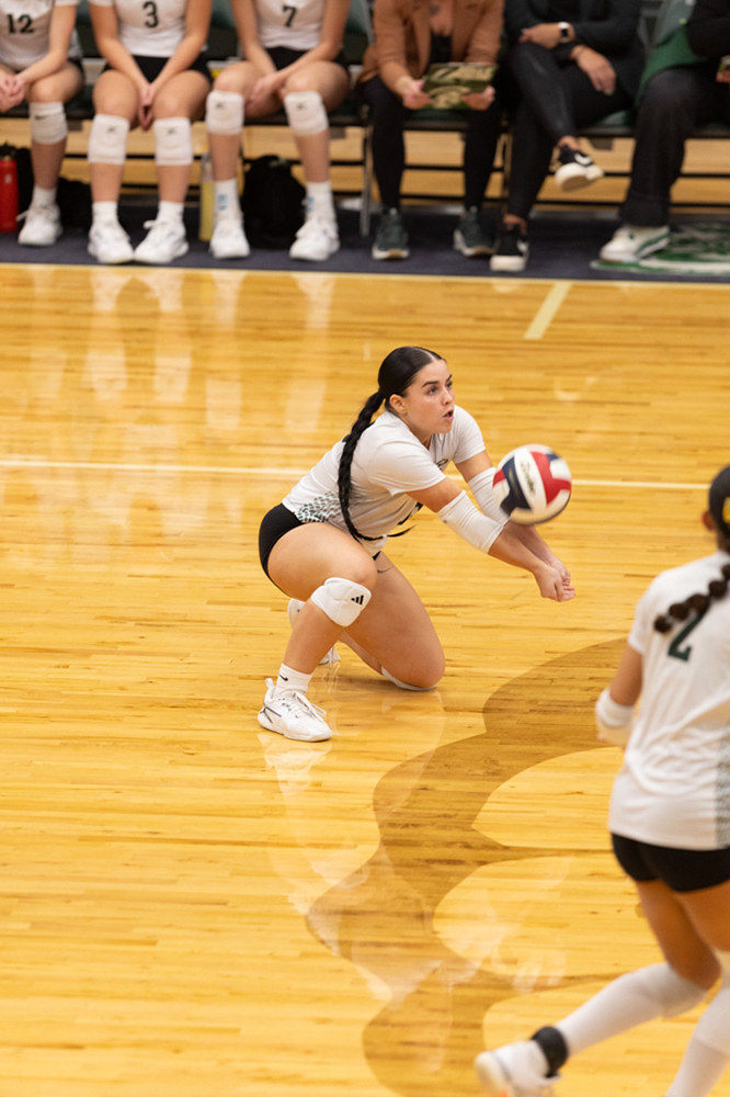 %_tempFileName1M6A0942%