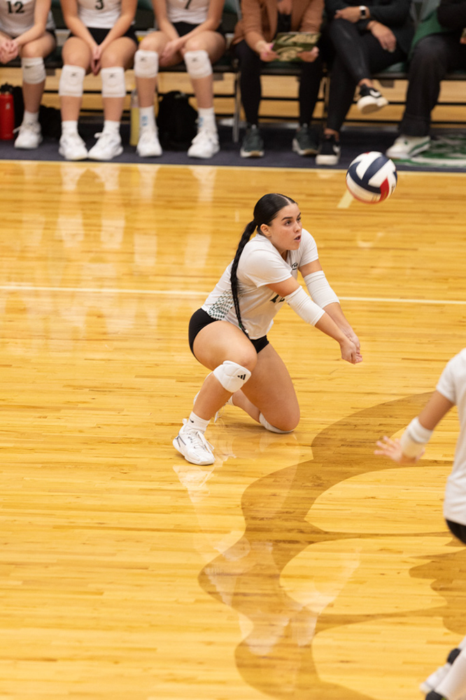 %_tempFileName1M6A0943%