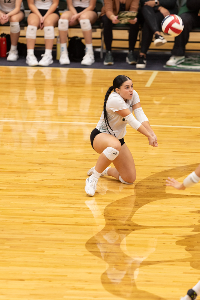 %_tempFileName1M6A0944%