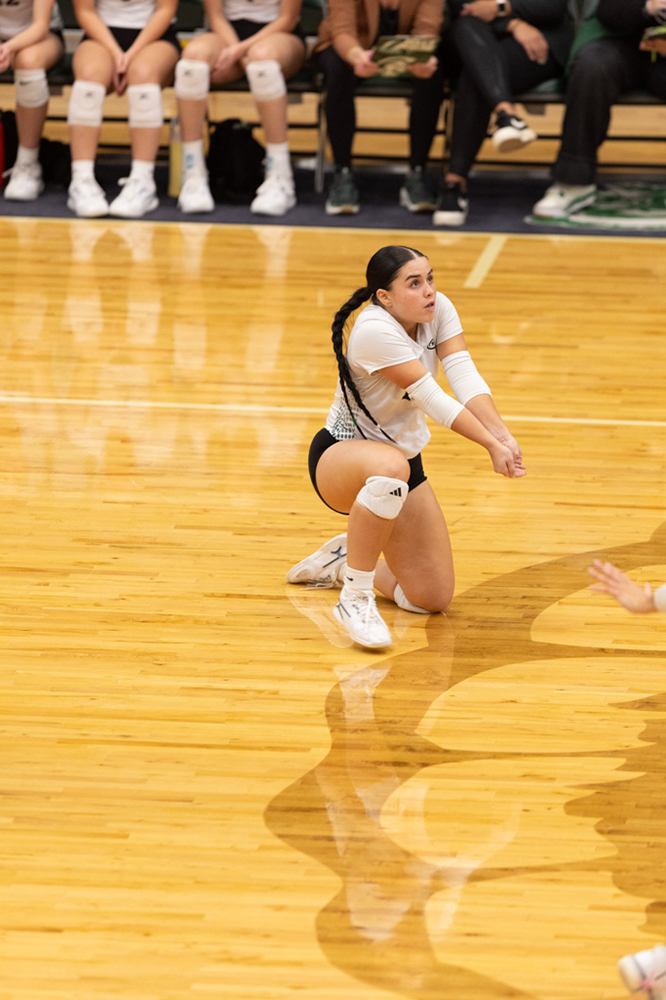 %_tempFileName1M6A0945%