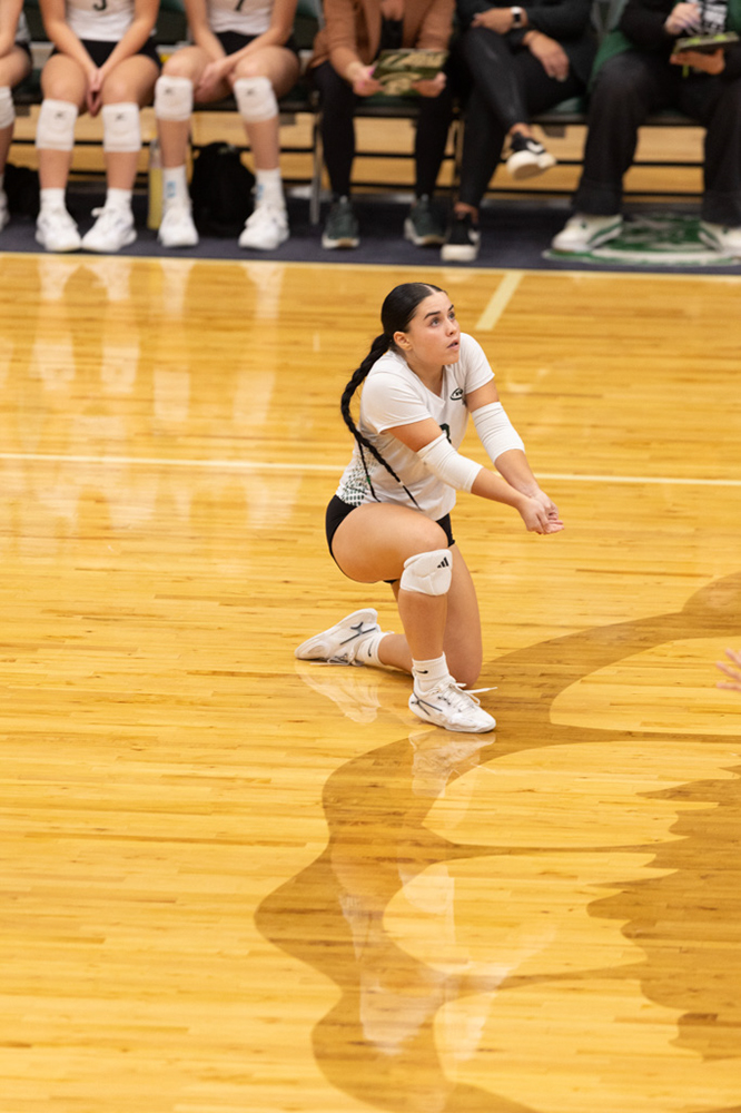 %_tempFileName1M6A0946%