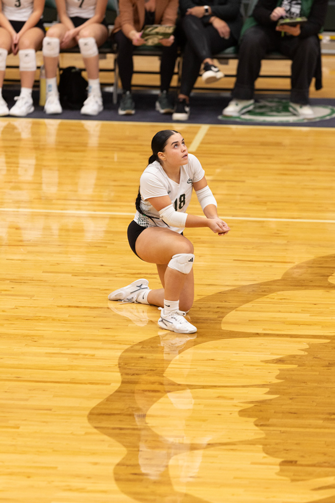 %_tempFileName1M6A0947%