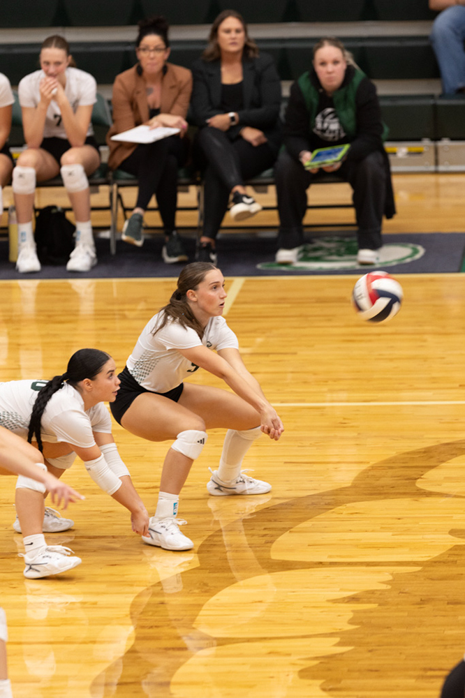 %_tempFileName1M6A0965%