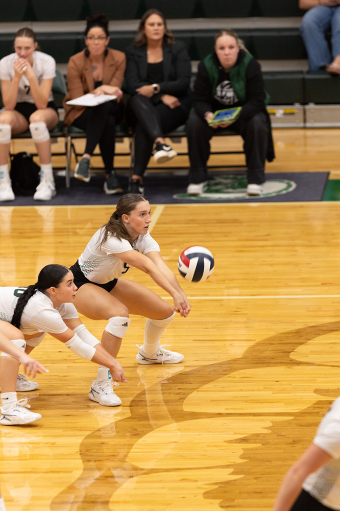 %_tempFileName1M6A0966%