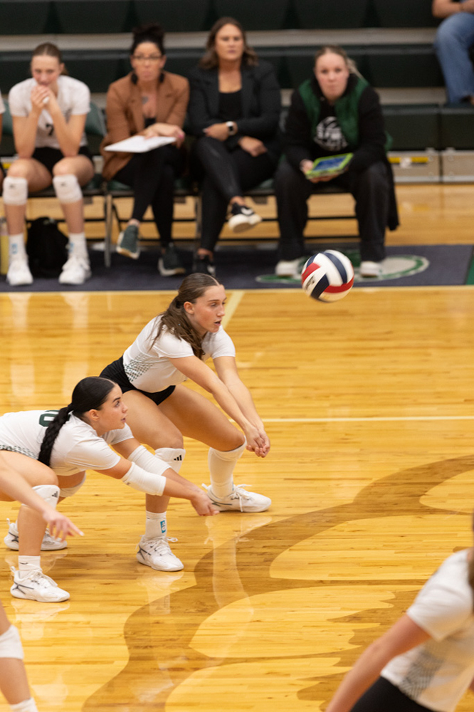 %_tempFileName1M6A0967%