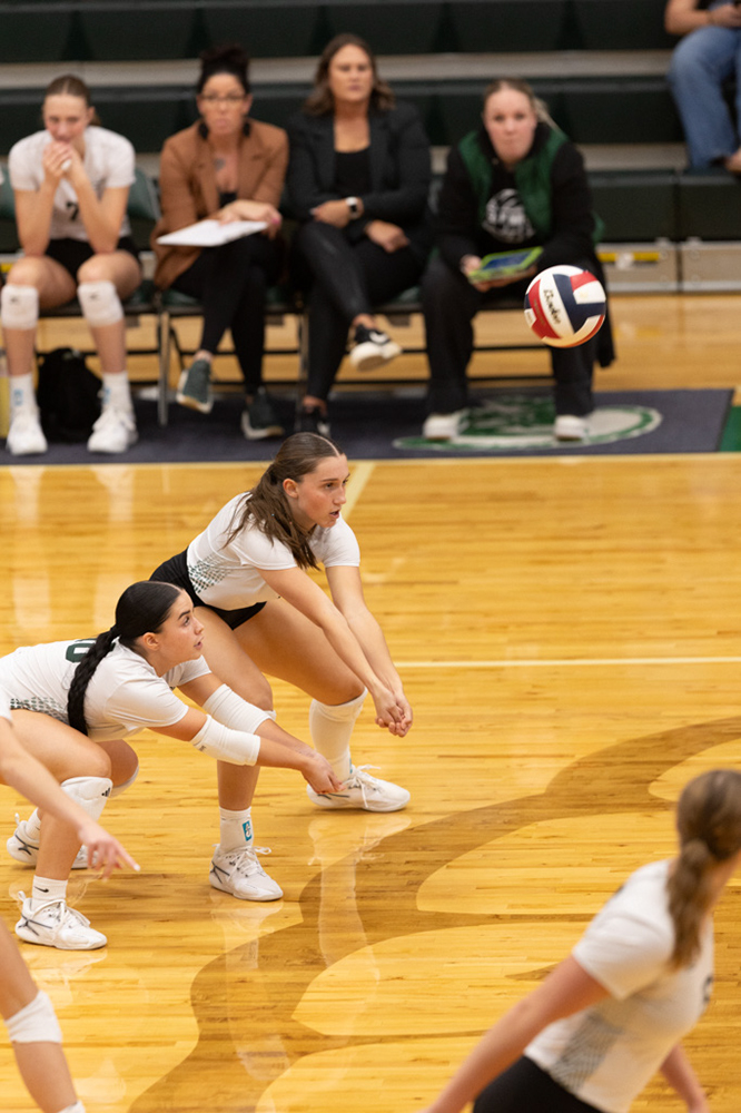 %_tempFileName1M6A0968%