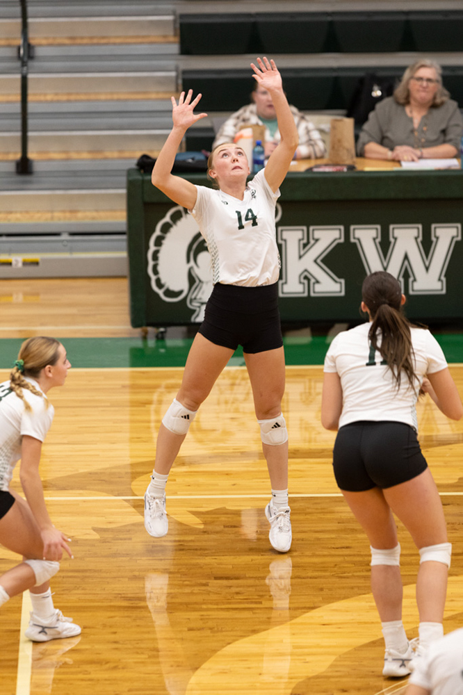 %_tempFileName1M6A1028%