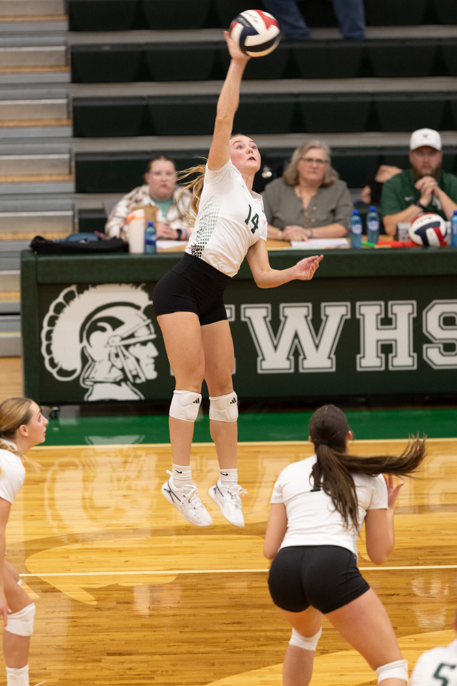 %_tempFileName1M6A1033%