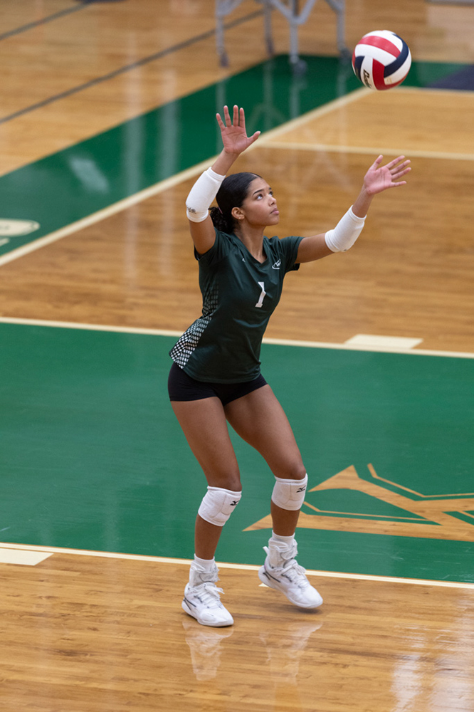 %_tempFileName1M6A1098%