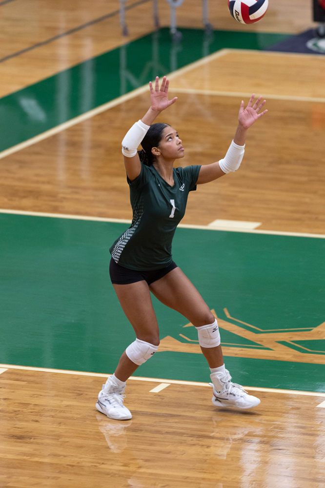 %_tempFileName1M6A1099%