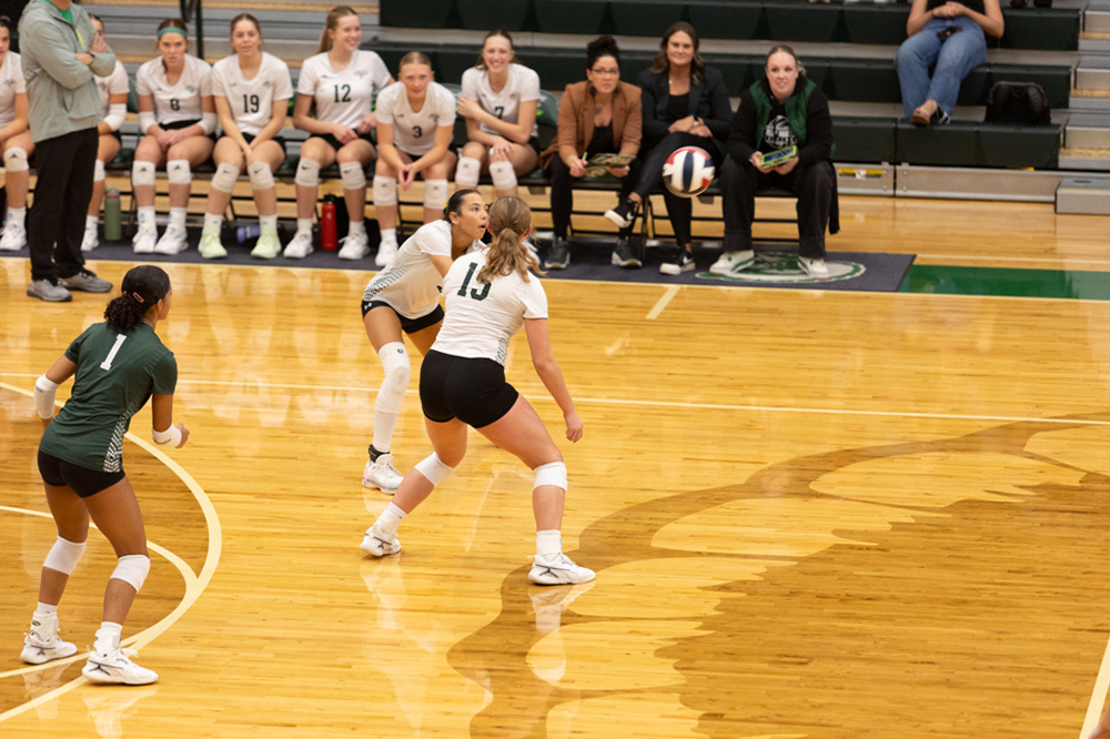 %_tempFileName1M6A1138%