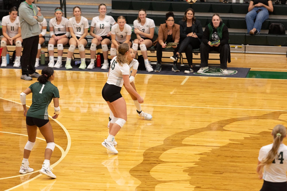 %_tempFileName1M6A1143%