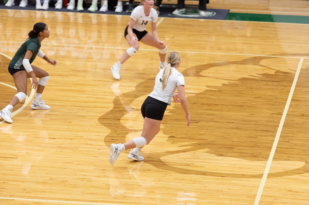 %_tempFileName1M6A1162%