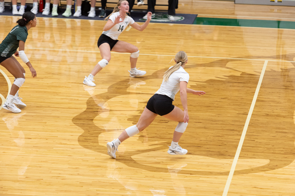 %_tempFileName1M6A1165%