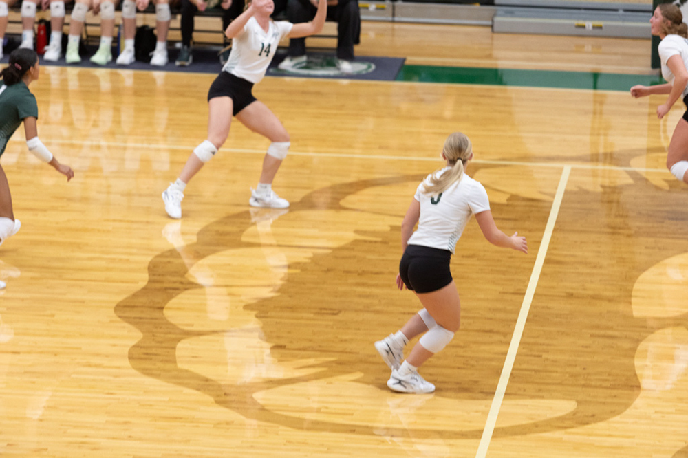 %_tempFileName1M6A1168%