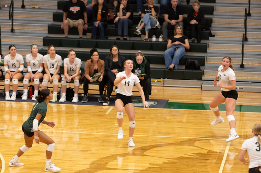 %_tempFileName1M6A1169%