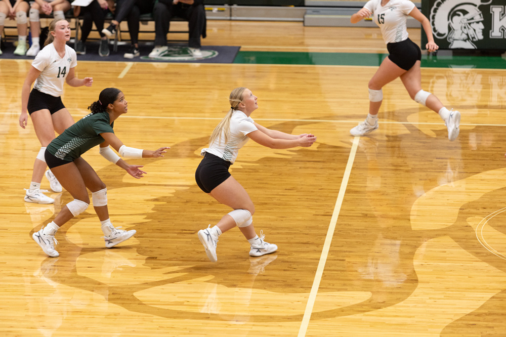 %_tempFileName1M6A1223%