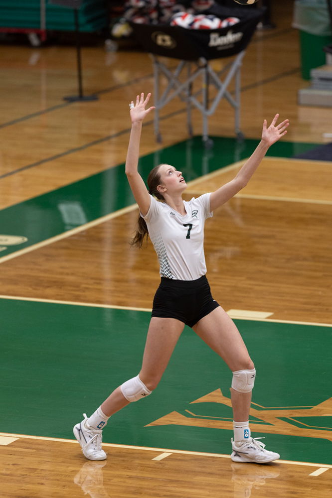 %_tempFileName1M6A1278%