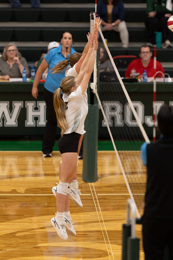 %_tempFileName1M6A1291%