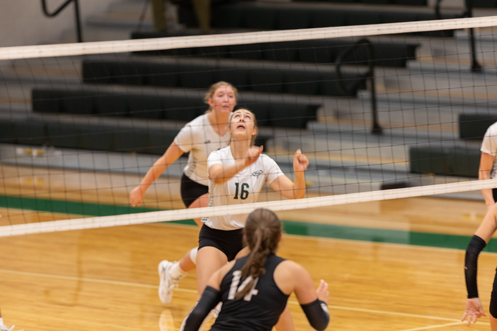 %_tempFileName1M6A1393%