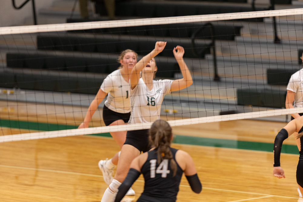 %_tempFileName1M6A1394%