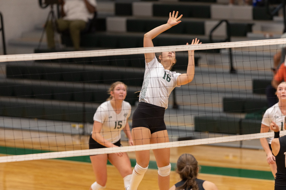 %_tempFileName1M6A1398%