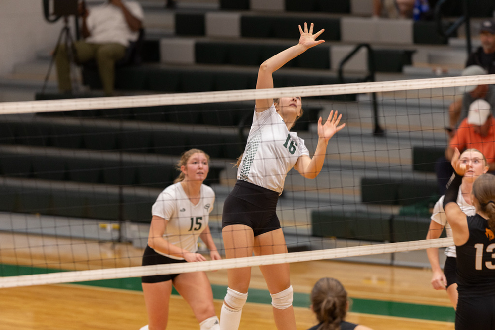 %_tempFileName1M6A1399%