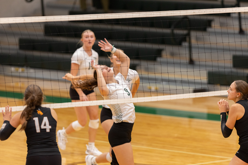 %_tempFileName1M6A1416%