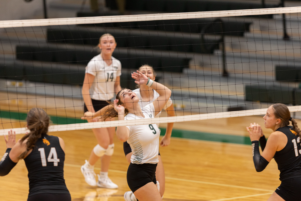 %_tempFileName1M6A1417%