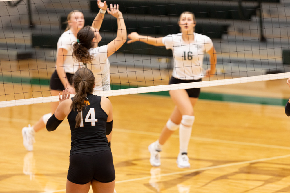 %_tempFileName1M6A1434%