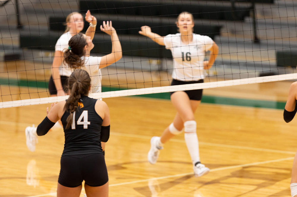 %_tempFileName1M6A1435%