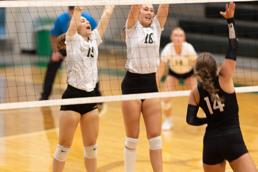 %_tempFileName1M6A1442%