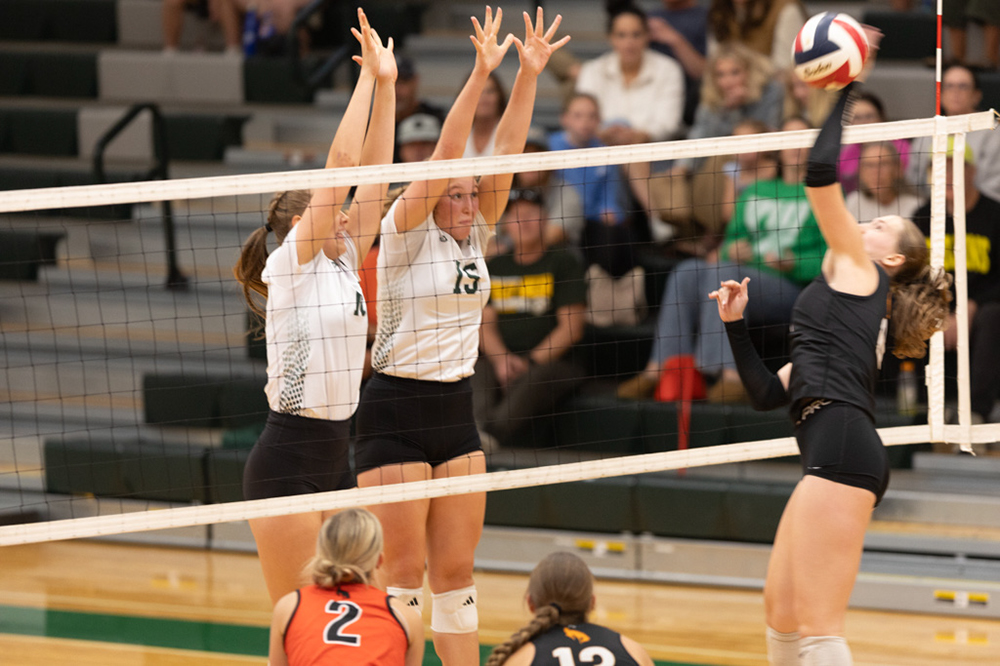 %_tempFileName1M6A1449%