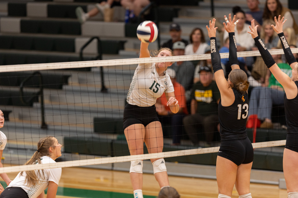 %_tempFileName1M6A1463%