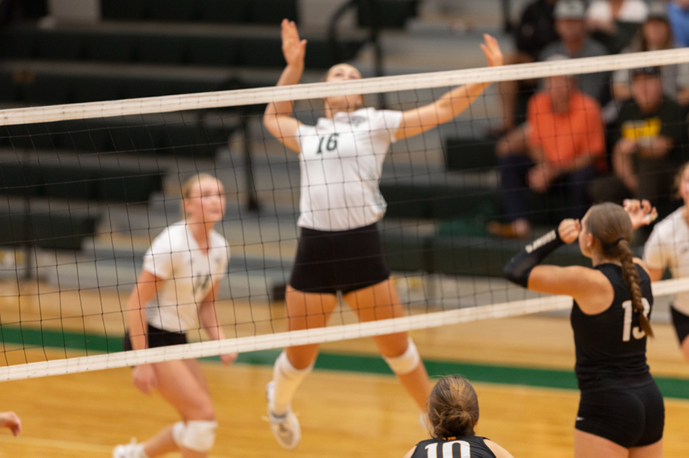 %_tempFileName1M6A1491%