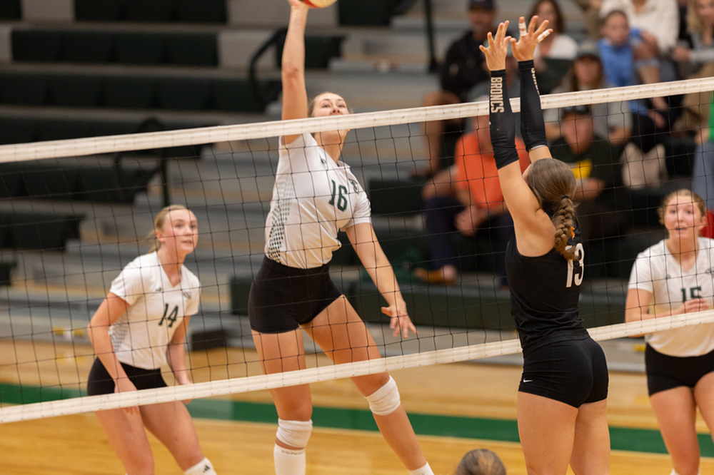 %_tempFileName1M6A1494%