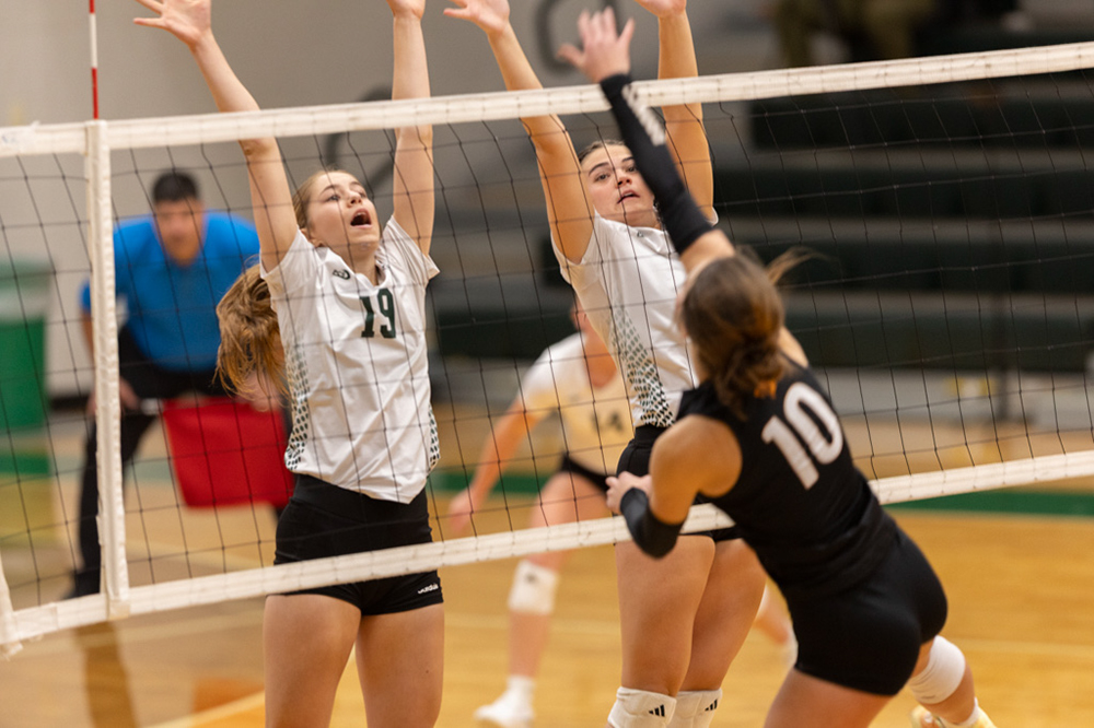 %_tempFileName1M6A1524%