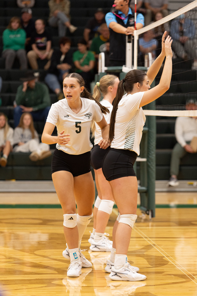 %_tempFileName1M6A1534%