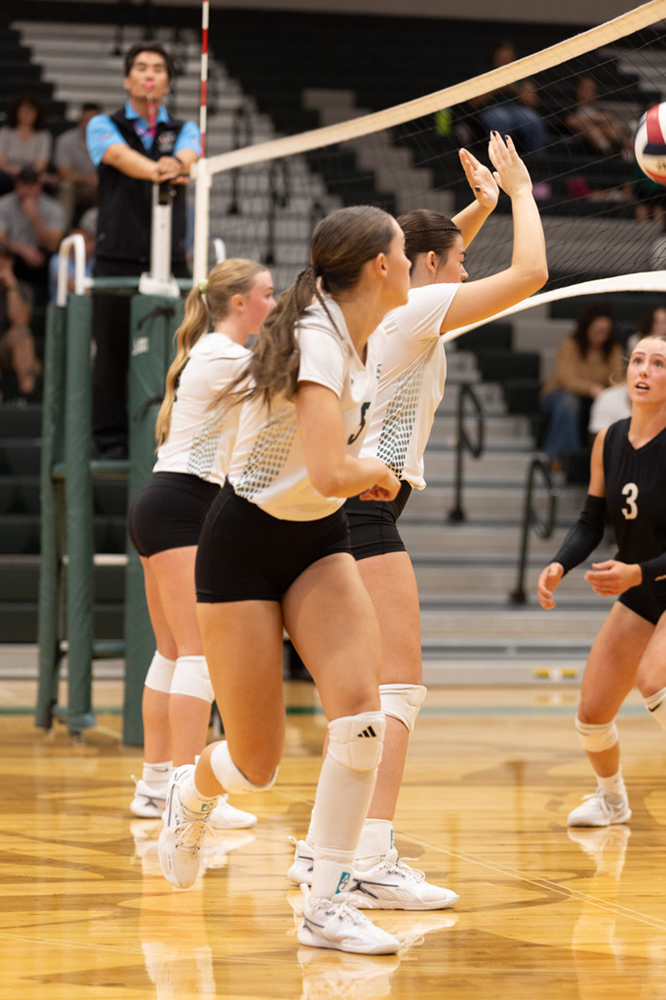 %_tempFileName1M6A1548%