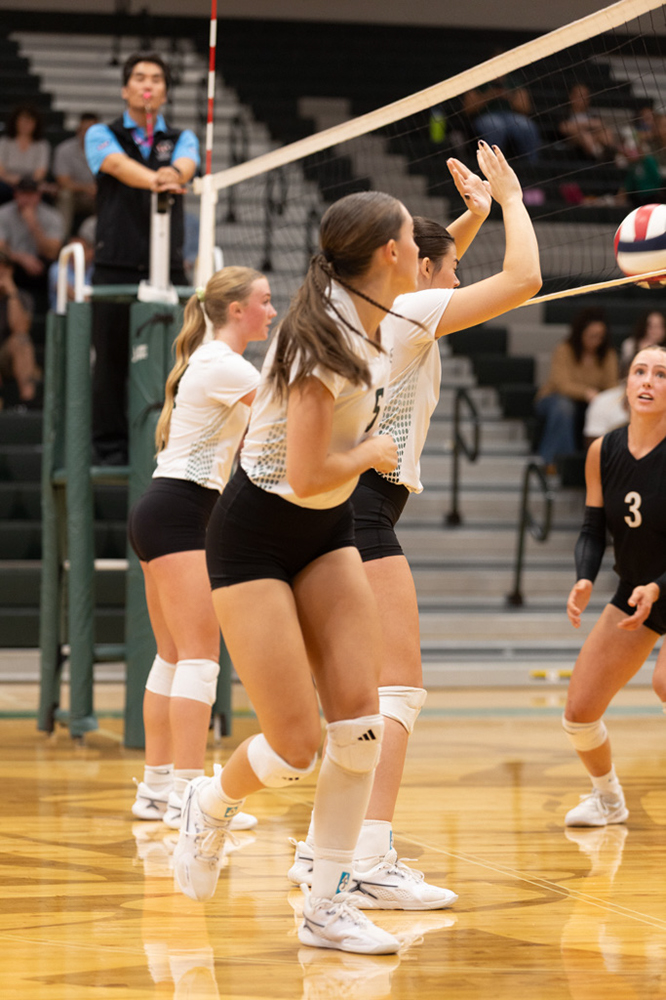 %_tempFileName1M6A1549%