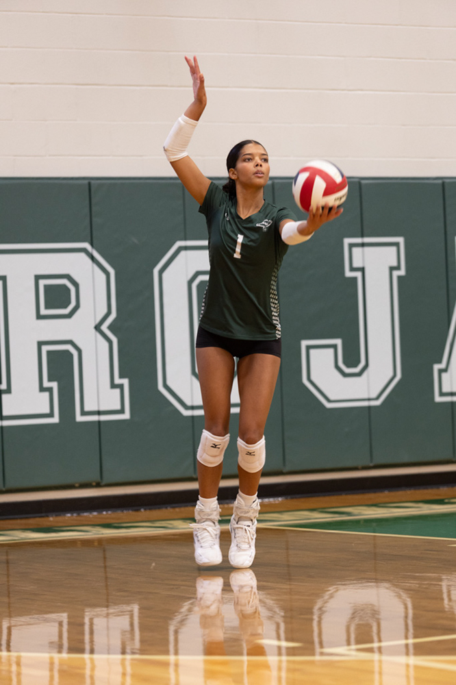 %_tempFileName1M6A1556%