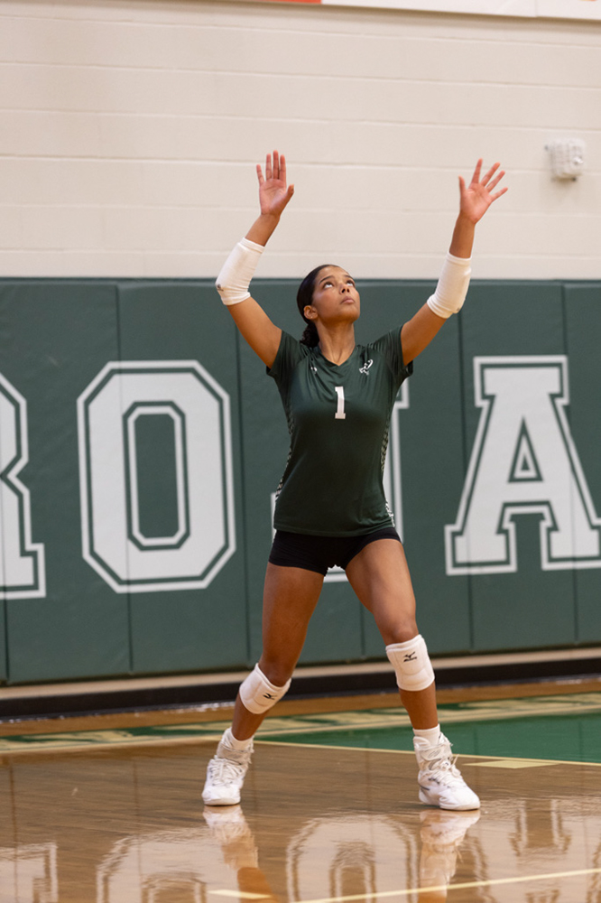 %_tempFileName1M6A1561%