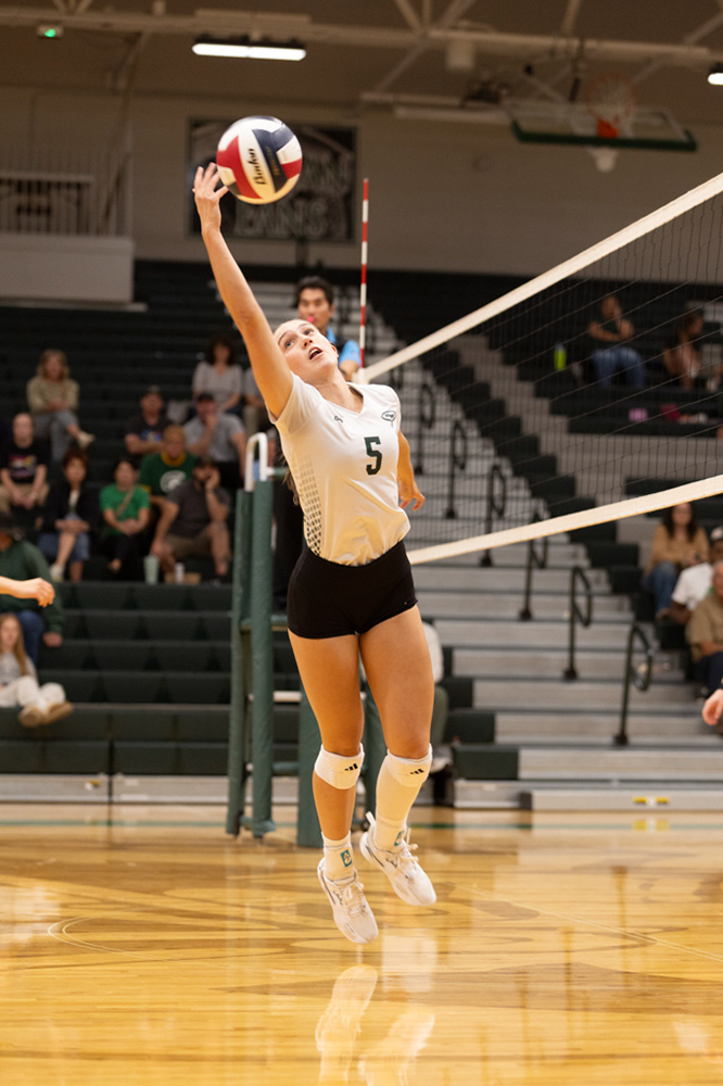 %_tempFileName1M6A1578%