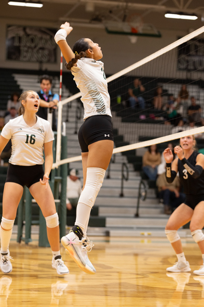 %_tempFileName1M6A1598%